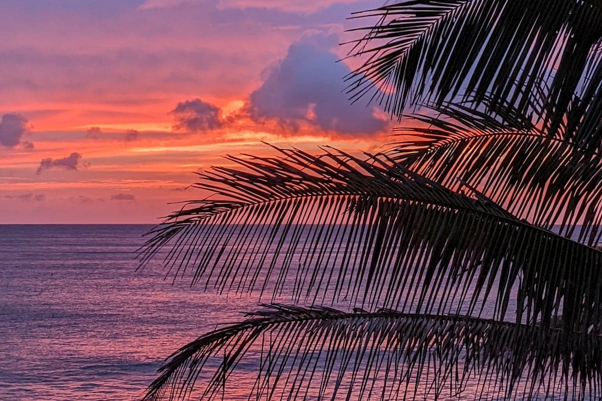 Condo in Princeville · ★4.88 · Studio · 1 bed · 1 bath - Photo 5