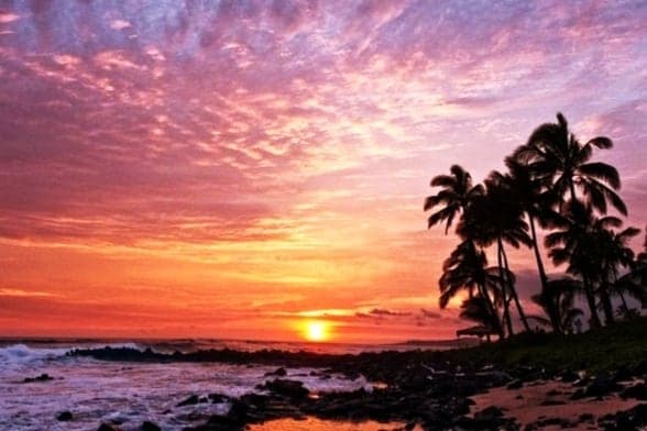 Condo in Koloa · ★4.83 · 3 bedrooms · 3 beds · 1 bath - Photo 1