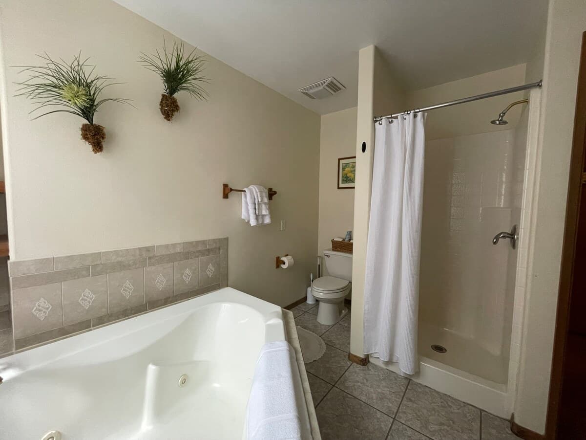 Guesthouse in Volcano · ★4.93 · 1 bedroom · 1 bed · 1 private bath - Photo 4