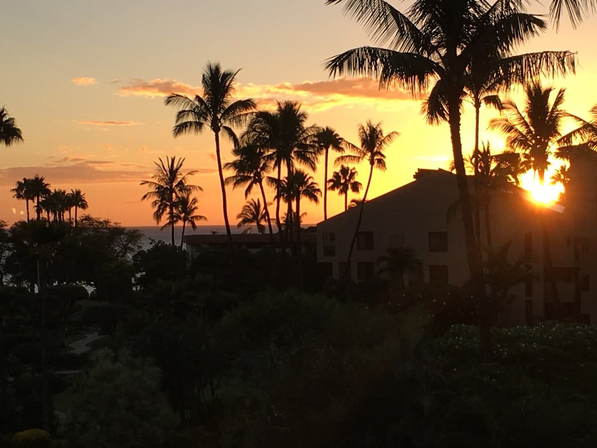 Condo in Kihei · ★4.89 · 1 bedroom · 3 beds · 2 baths - Photo 3