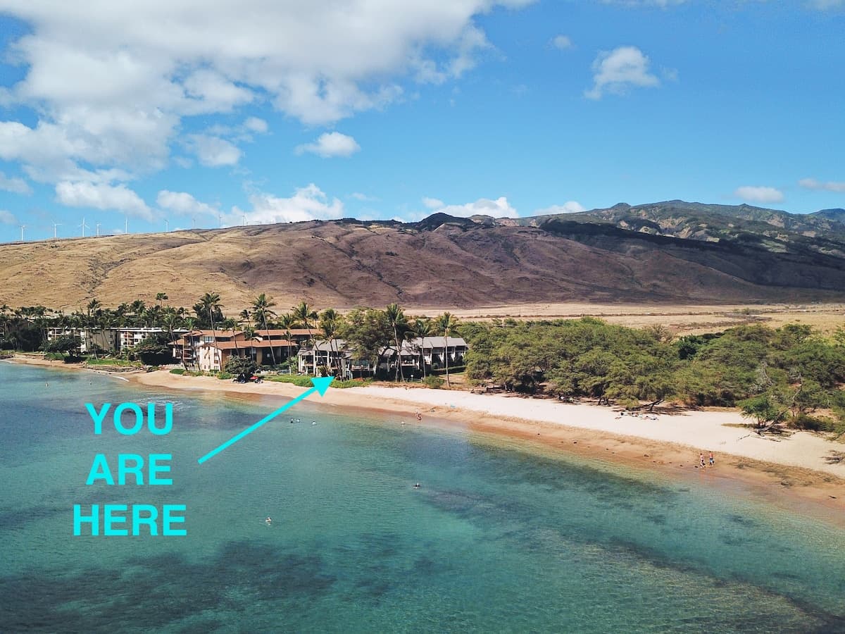 Condo in Wailuku · ★4.98 · 1 bedroom · 2 beds · 1 bath - Photo 1