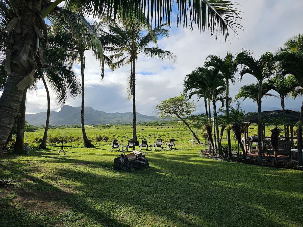 Δ Cozy & Compact 1BR 5 min to Ocean - Photo 2