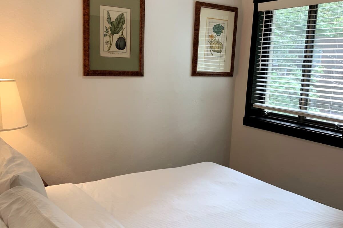 2 Bedroom Apartment, 1 Block from downtown - Photo 5