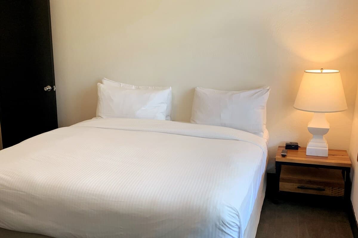 2 Bedroom Apartment, 1 Block from downtown - Photo 4