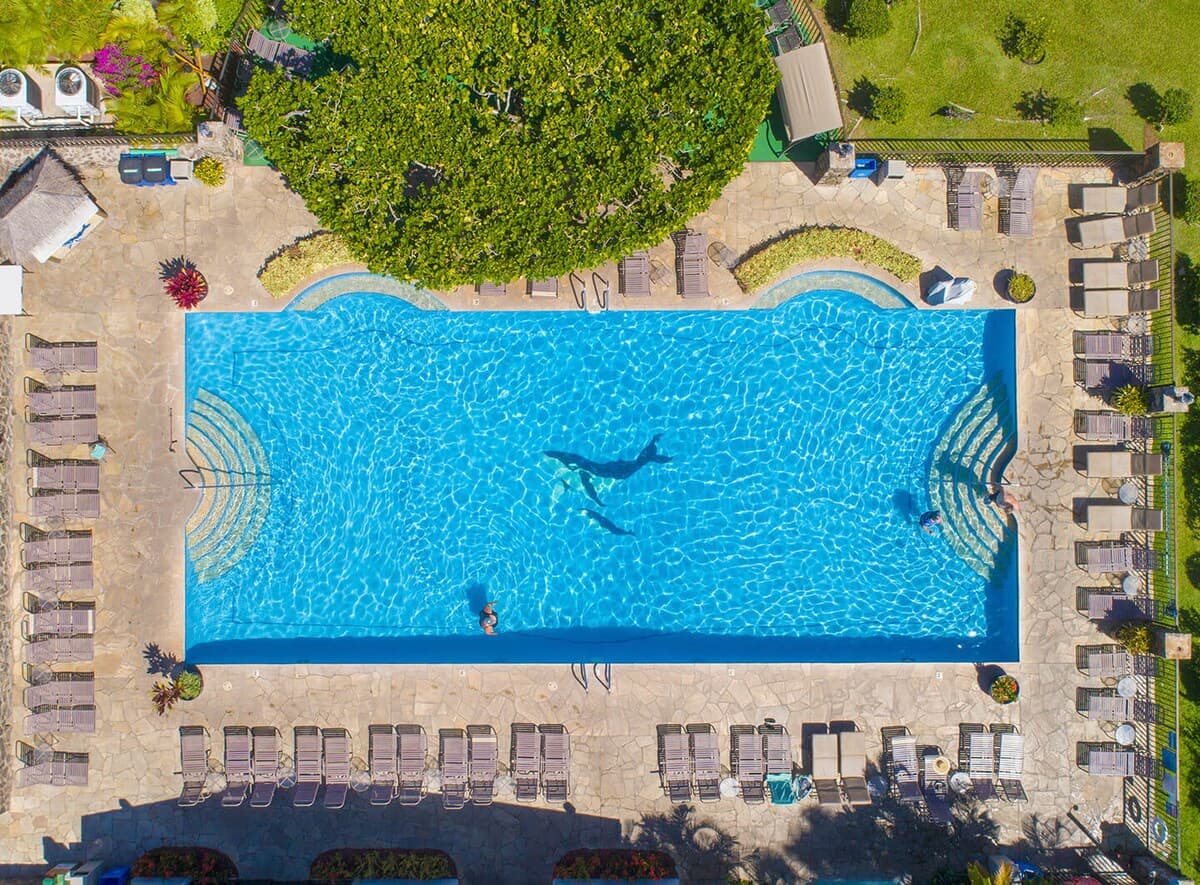 Condo in Kihei · ★4.89 · 2 bedrooms · 3 beds · 2 private baths - Photo 5