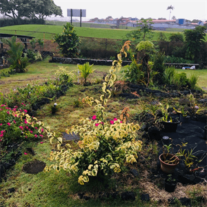 Puakenikeni Hilo Hale - Photo 2