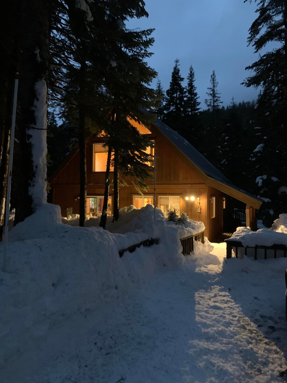 Cabin with Hot Tub, EV Charger & Forest Views - Photo 3