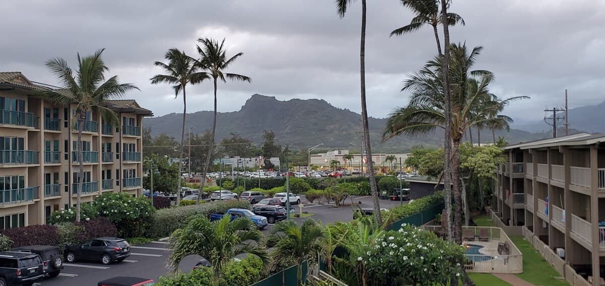 Condo in Kapaa · ★4.89 · 1 bedroom · 1 bed · 1 private bath - Photo 4