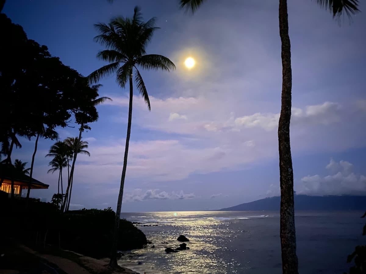 Condo in Lahaina · ★4.99 · 1 bedroom · 2 beds · 1 bath - Photo 1