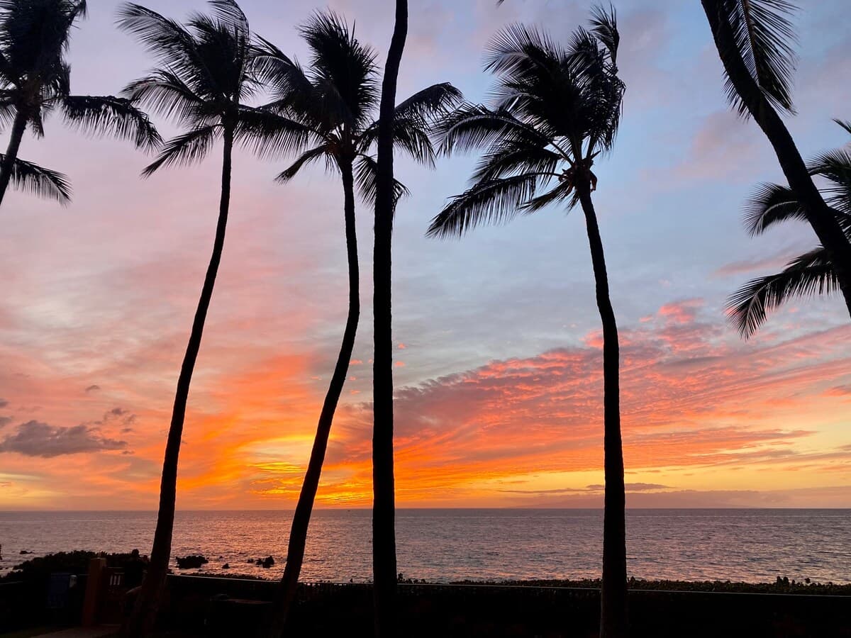 Condo in Lahaina · ★4.99 · 1 bedroom · 2 beds · 1 bath - Photo 4