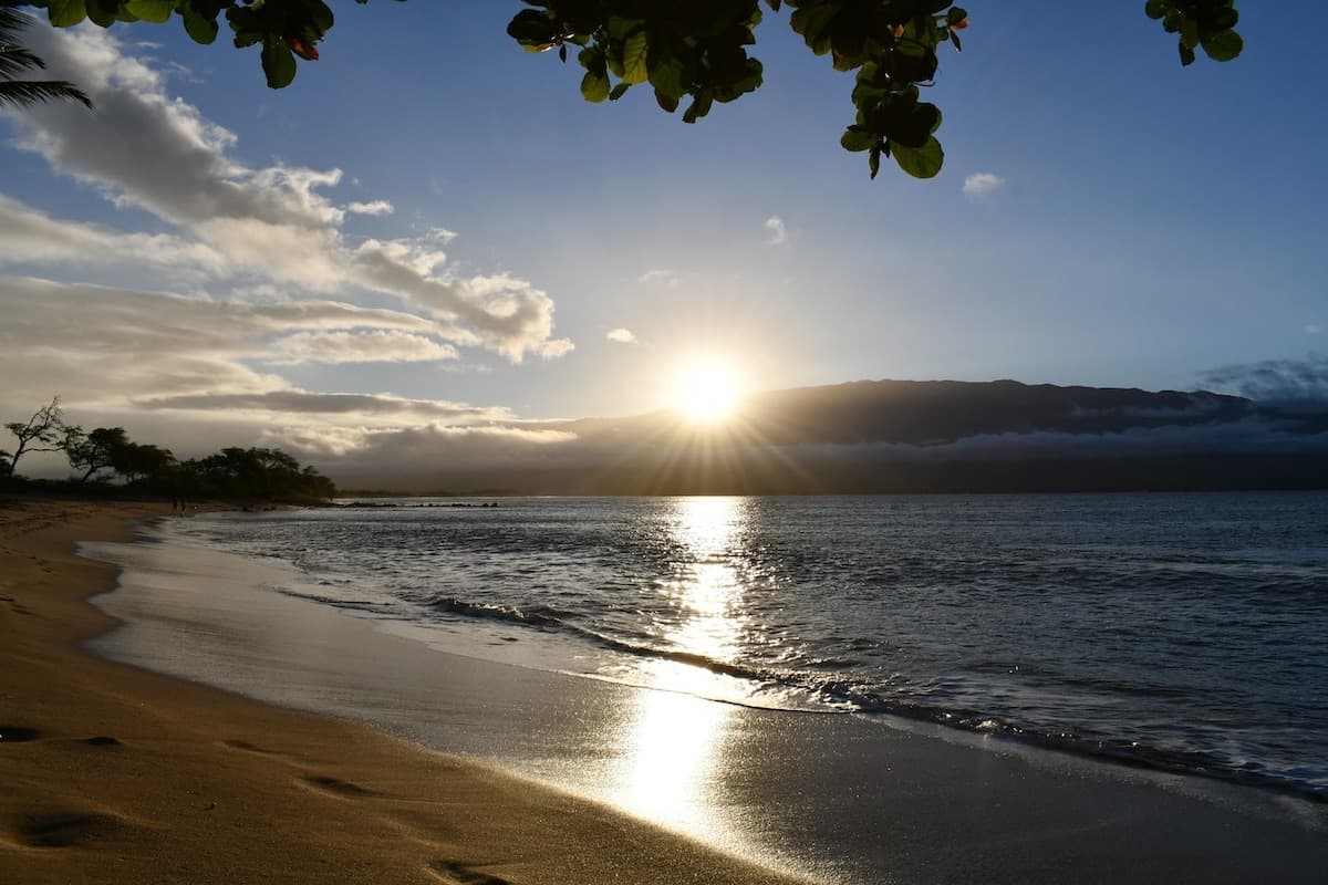 Condo in Wailuku · ★4.95 · 2 bedrooms · 3 beds · 2 baths - Photo 2