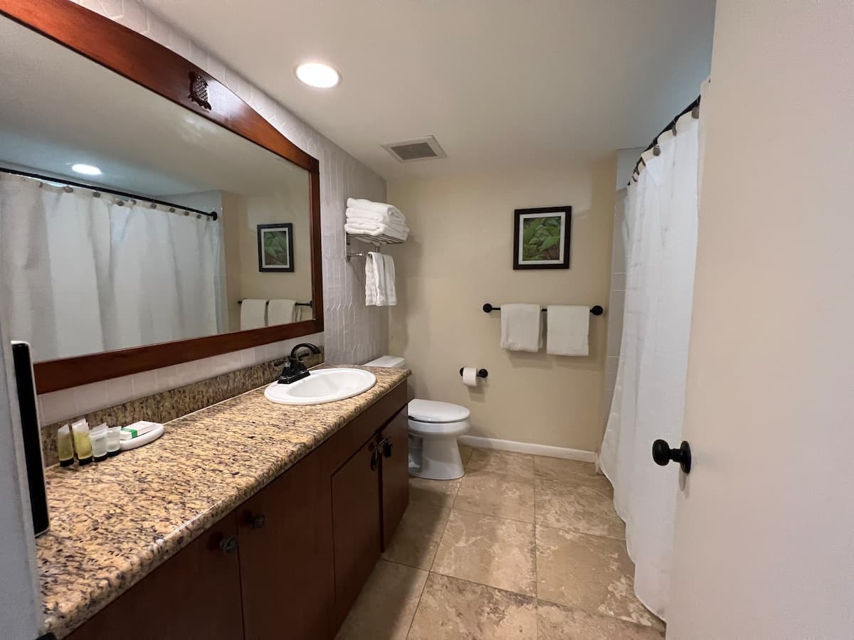 Condo in Kapaa · ★4.94 · Studio · 1 bed · 1 bath - Photo 5