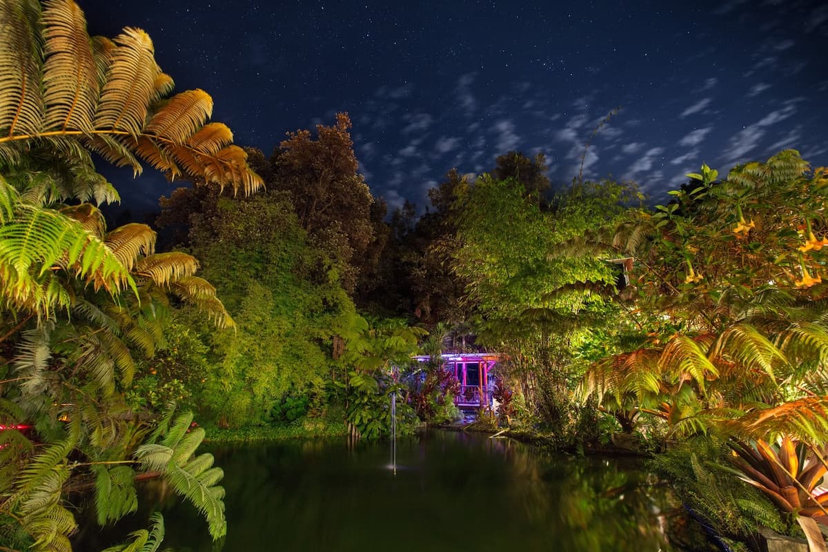 Nature lodge in Volcano · ★4.86 · 1 bedroom · 1 bed · 1 private bath - Image 31