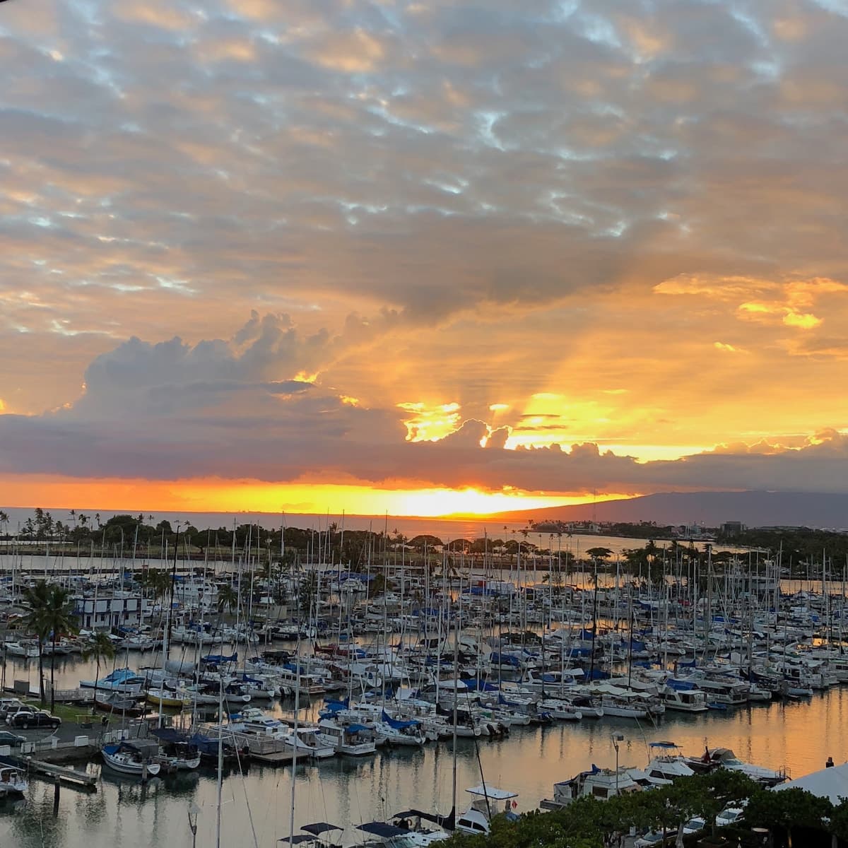 Condo in Honolulu · ★4.96 · 1 bedroom · 2 beds · 1 private bath - Photo 2