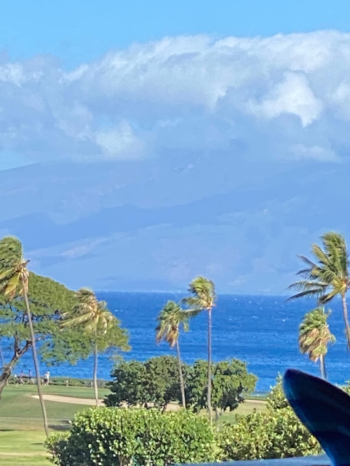 Condo in Lahaina · ★4.95 · Studio · 2 beds · 1 bath - Photo 2