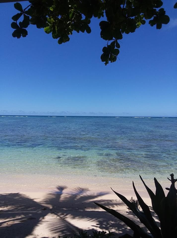 Condo in Hauula · ★4.66 · 1 bedroom · 2 beds · 1 private bath - Photo 3