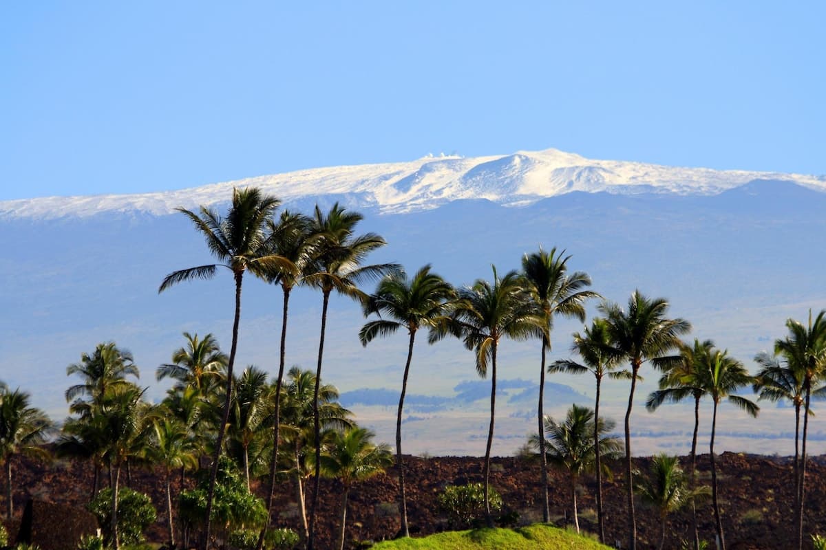 Townhouse in Waimea · ★5.0 · 3 bedrooms · 3 beds · 3 baths - Photo 5
