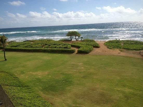 Condo in Lihue · ★5.0 · 2 bedrooms · 4 beds · 2 shared baths - Photo 5