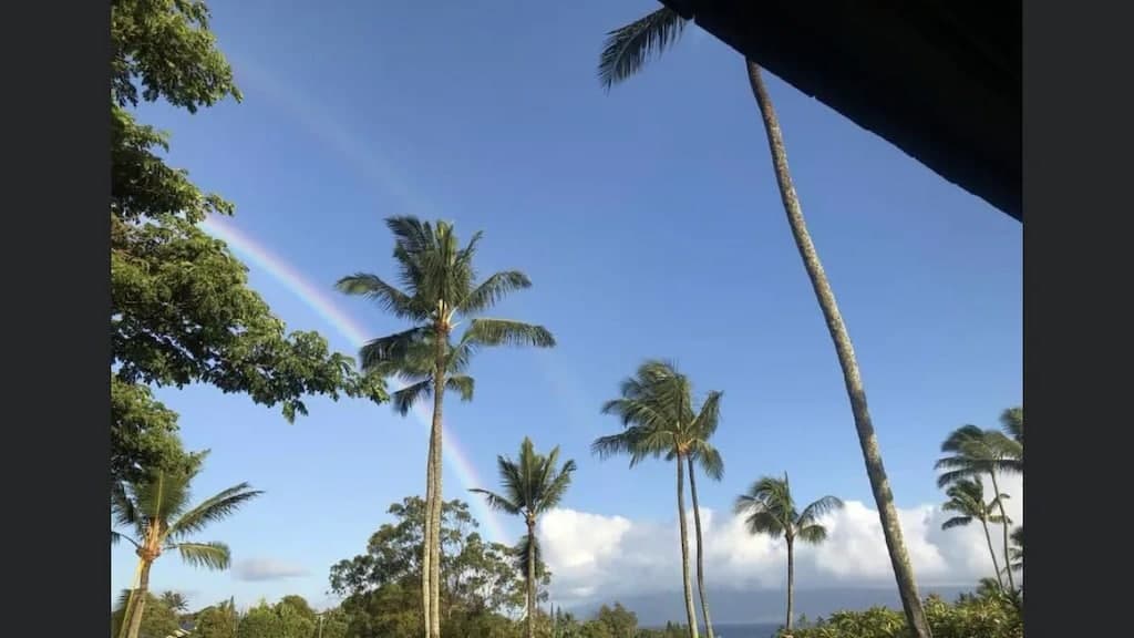 Condo in Lahaina · ★4.99 · 1 bedroom · 1 bed · 1 private bath - Photo 1