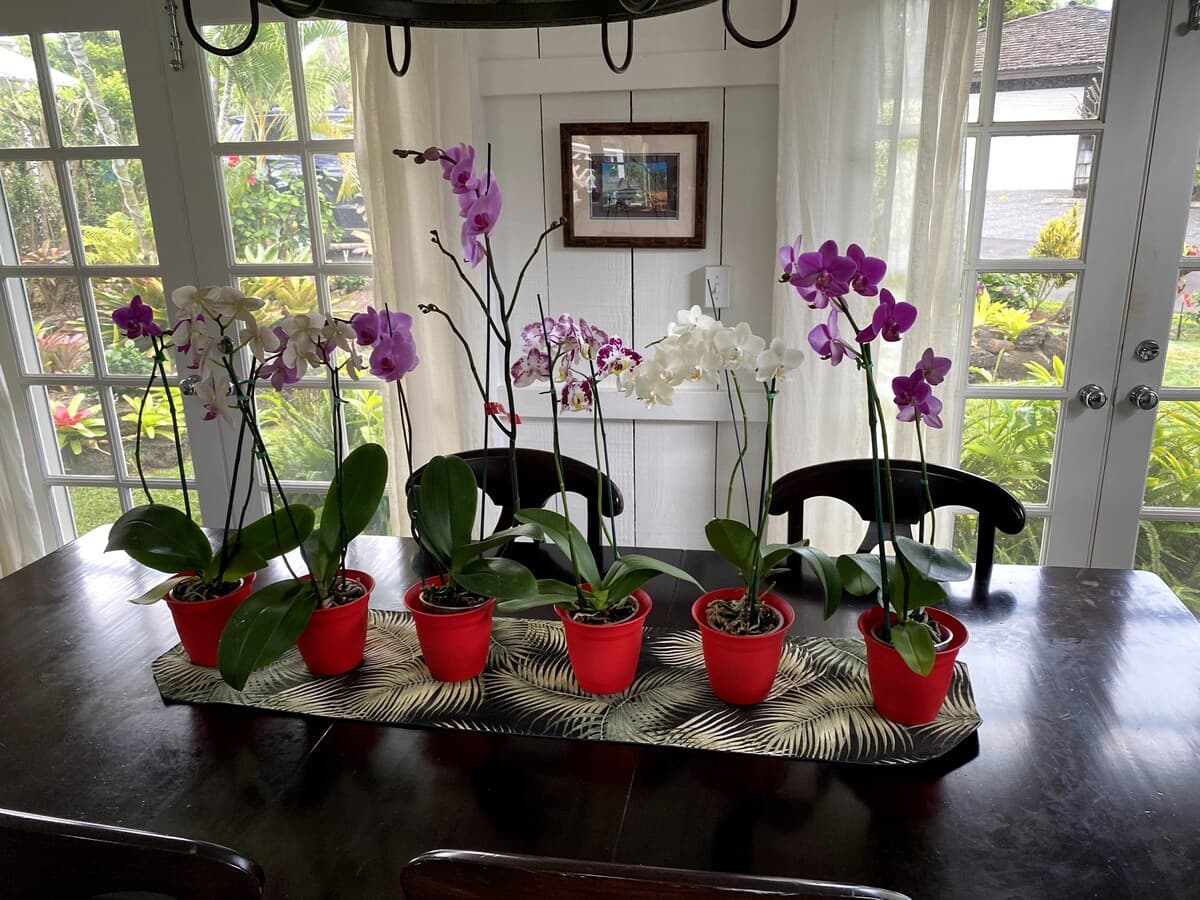 Private House - Photo 4