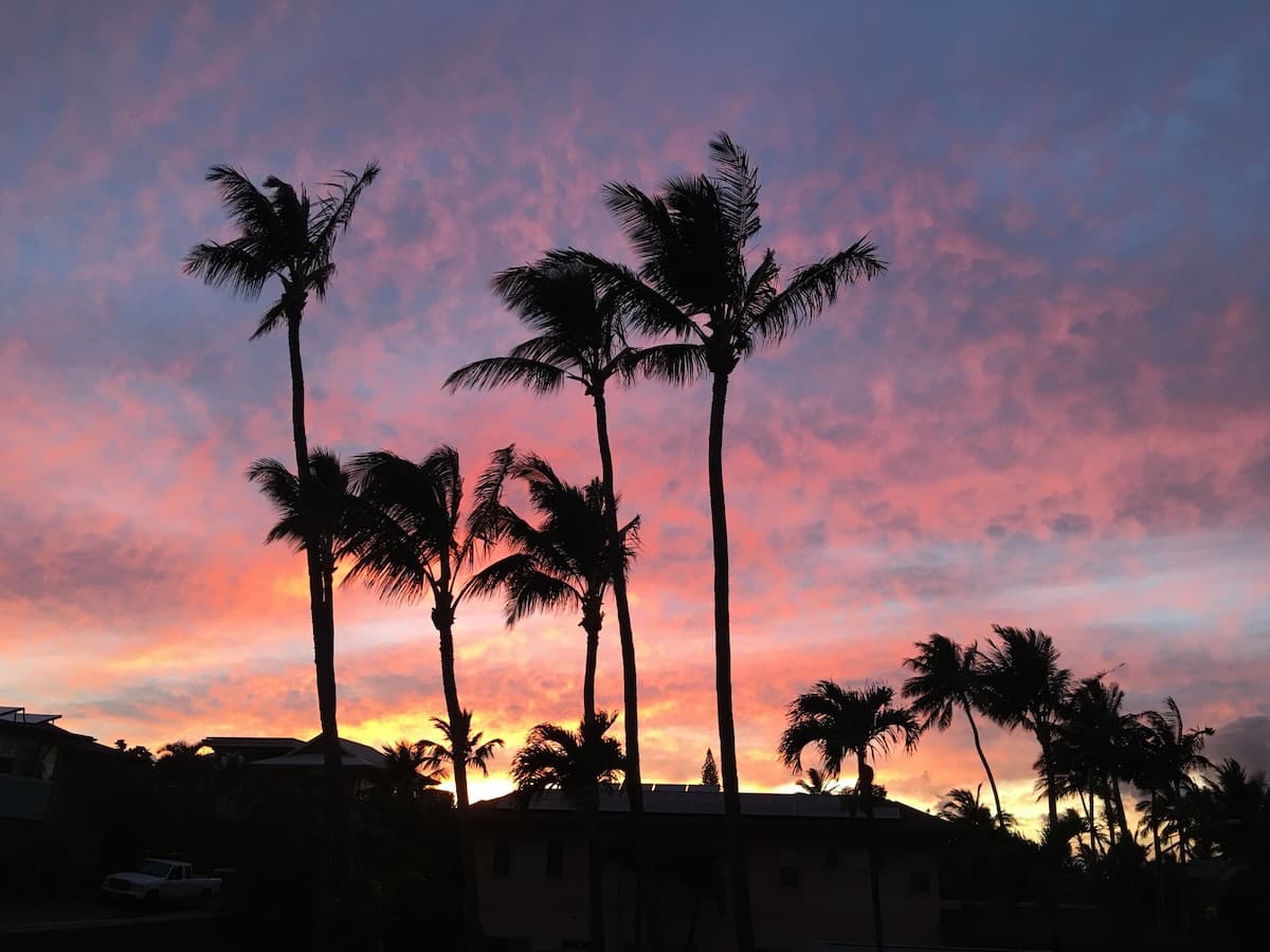 Condo in Paia · ★4.86 · 1 bedroom · 2 beds · 1 private bath - Photo 3