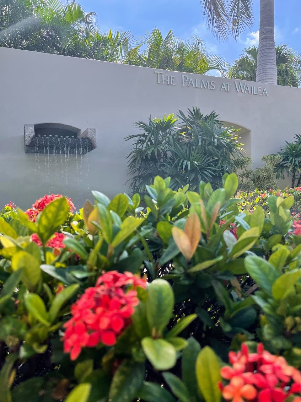 Condo in Kihei · ★4.96 · 2 bedrooms · 3 beds · 2 shared baths - Photo 5