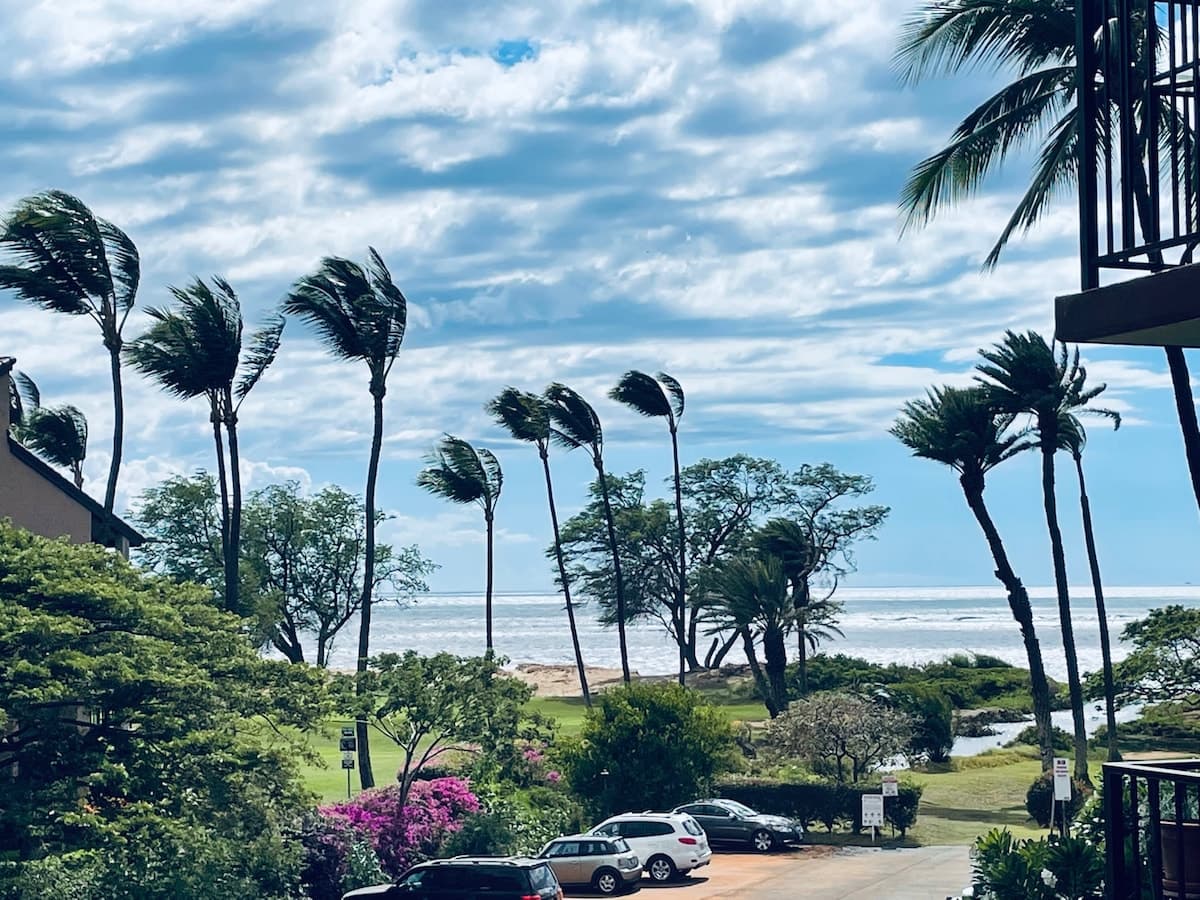 Condo in Kihei · ★4.93 · 1 bedroom · 2 beds · 1 bath - Photo 1