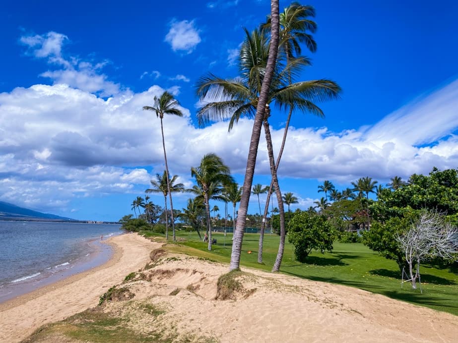 Condo in Kihei · ★4.99 · 1 bedroom · 3 beds · 2 private baths - Photo 3