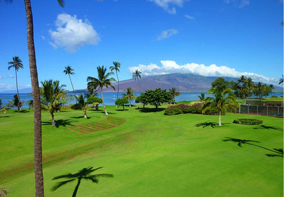 Condo in Kihei · ★4.99 · 1 bedroom · 3 beds · 2 private baths - Photo 4