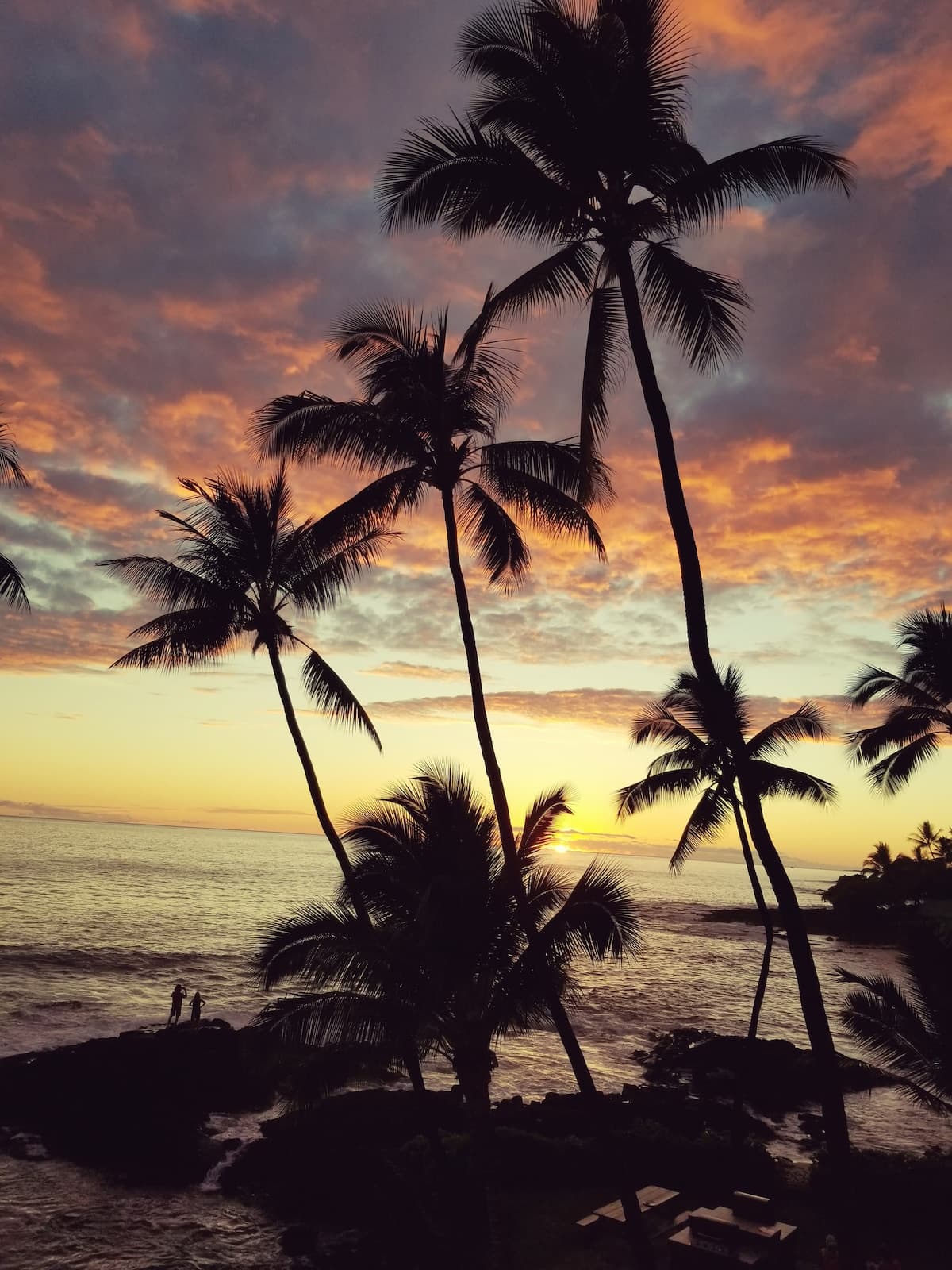 Condo in Kailua-Kona · ★4.91 · 1 bedroom · 1 bed · 1 bath - Photo 1