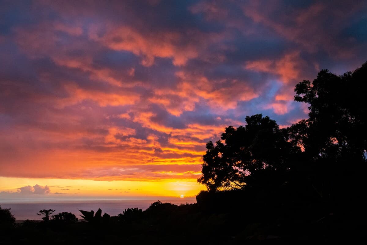 Home in Kailua-Kona · ★4.96 · 2 bedrooms · 2 beds · 1 private bath - Photo 2
