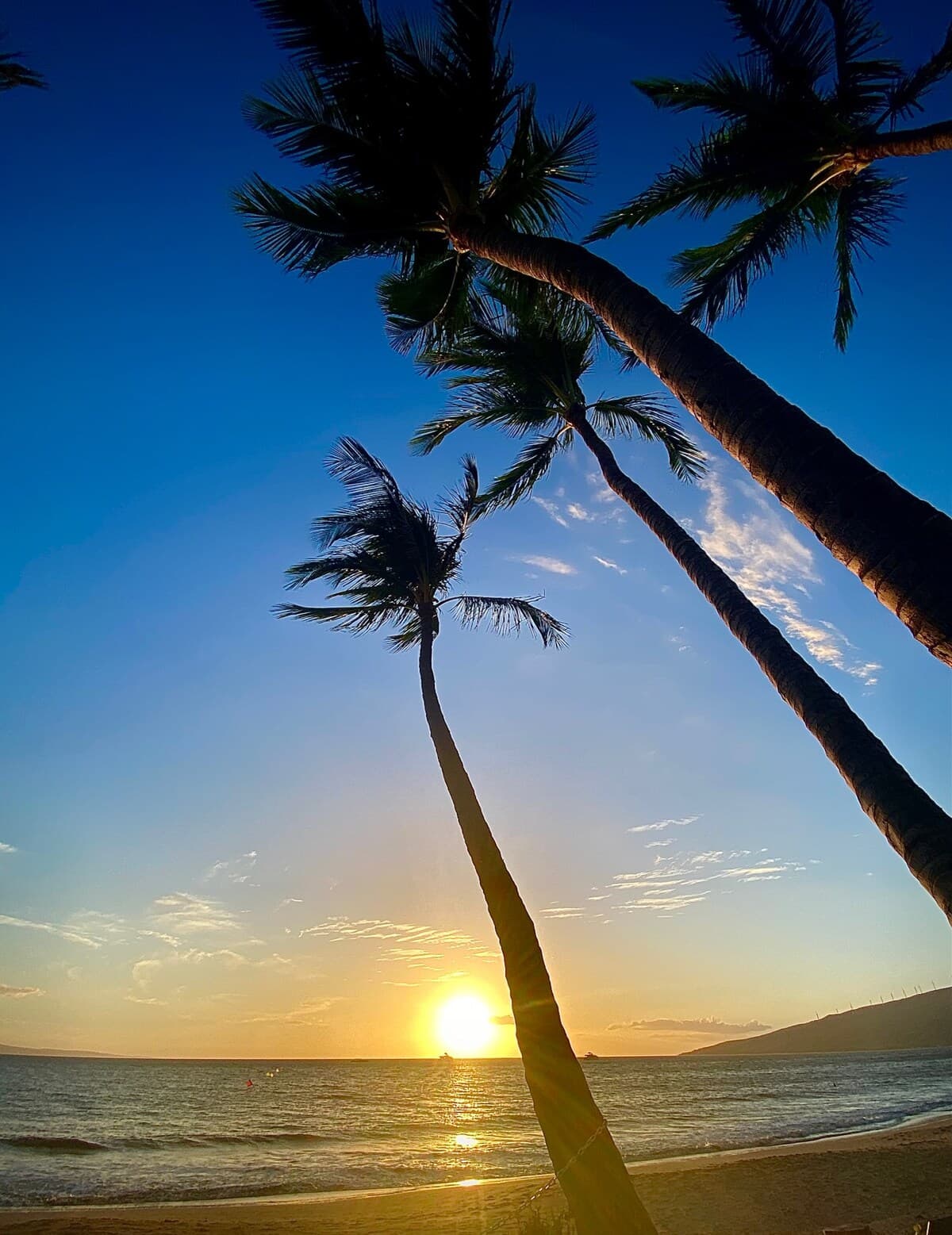 Condo in Kihei · ★4.92 · 1 bedroom · 2 beds · 2 private baths - Photo 4