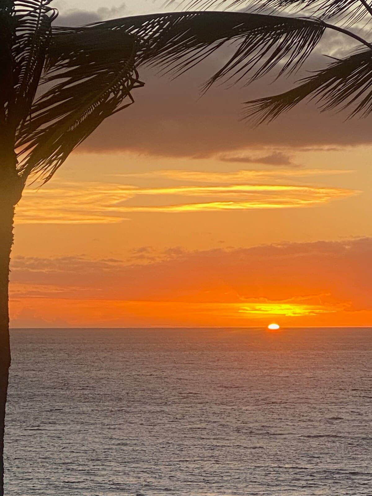 Condo in Kihei · ★4.92 · 1 bedroom · 2 beds · 2 private baths - Photo 2