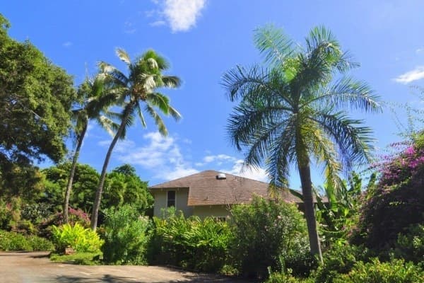 Townhouse in Koloa · ★4.84 · 2 bedrooms · 3 beds · 2 private baths - Photo 1