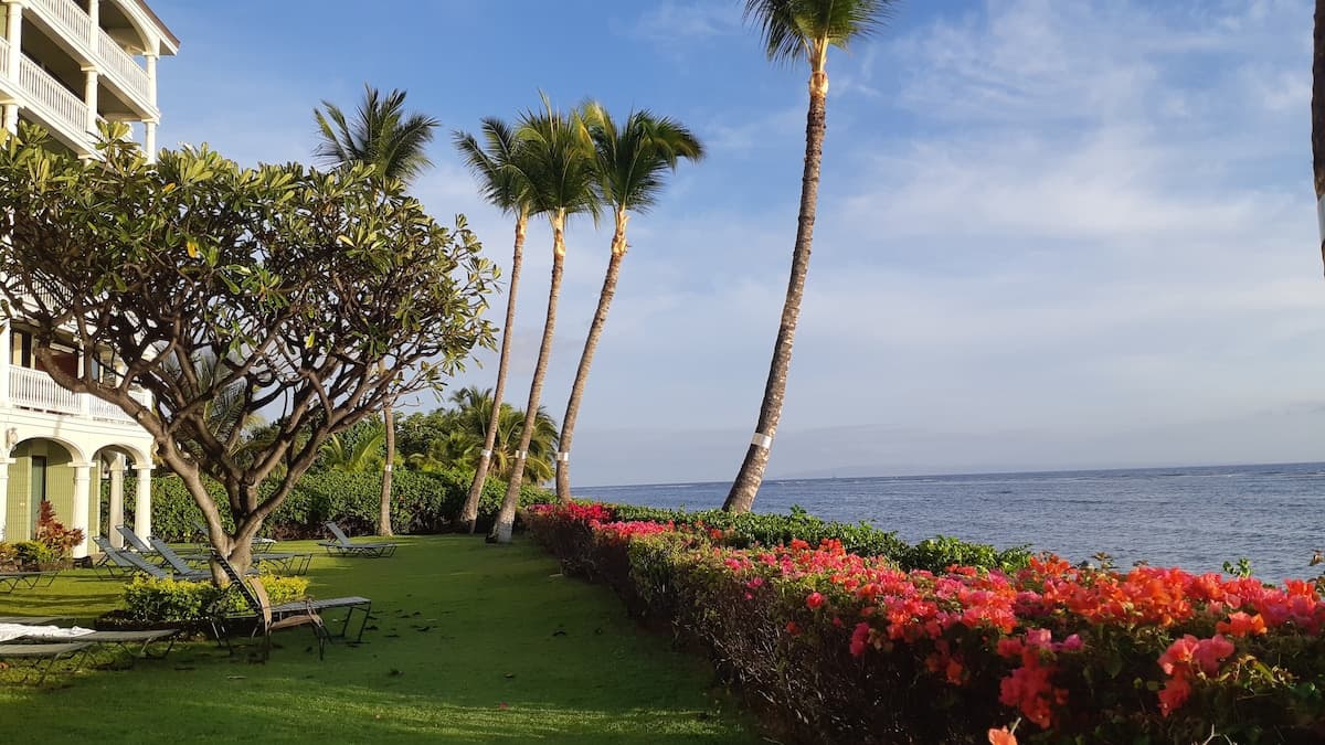 Condo in Lahaina · ★4.97 · Studio · 1 bed · 1 private bath - Photo 2