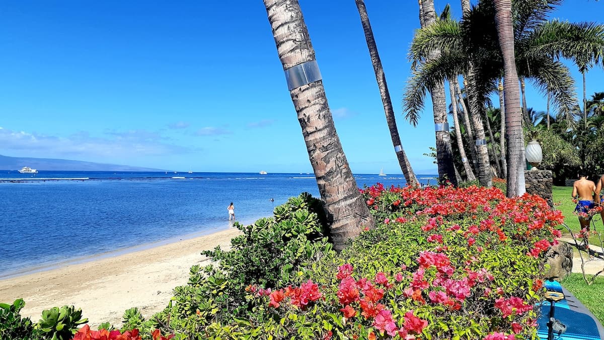 Condo in Lahaina · ★4.97 · Studio · 1 bed · 1 private bath - Photo 1
