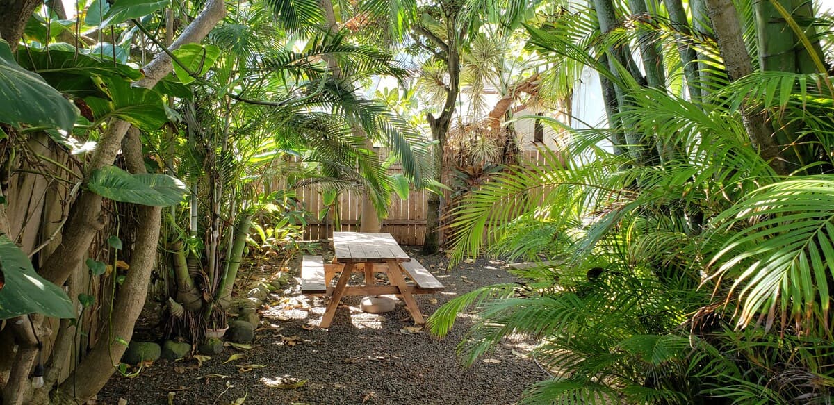 Home in Hauula · ★5.0 · 3 bedrooms · 5 beds · 2 private baths - Photo 5