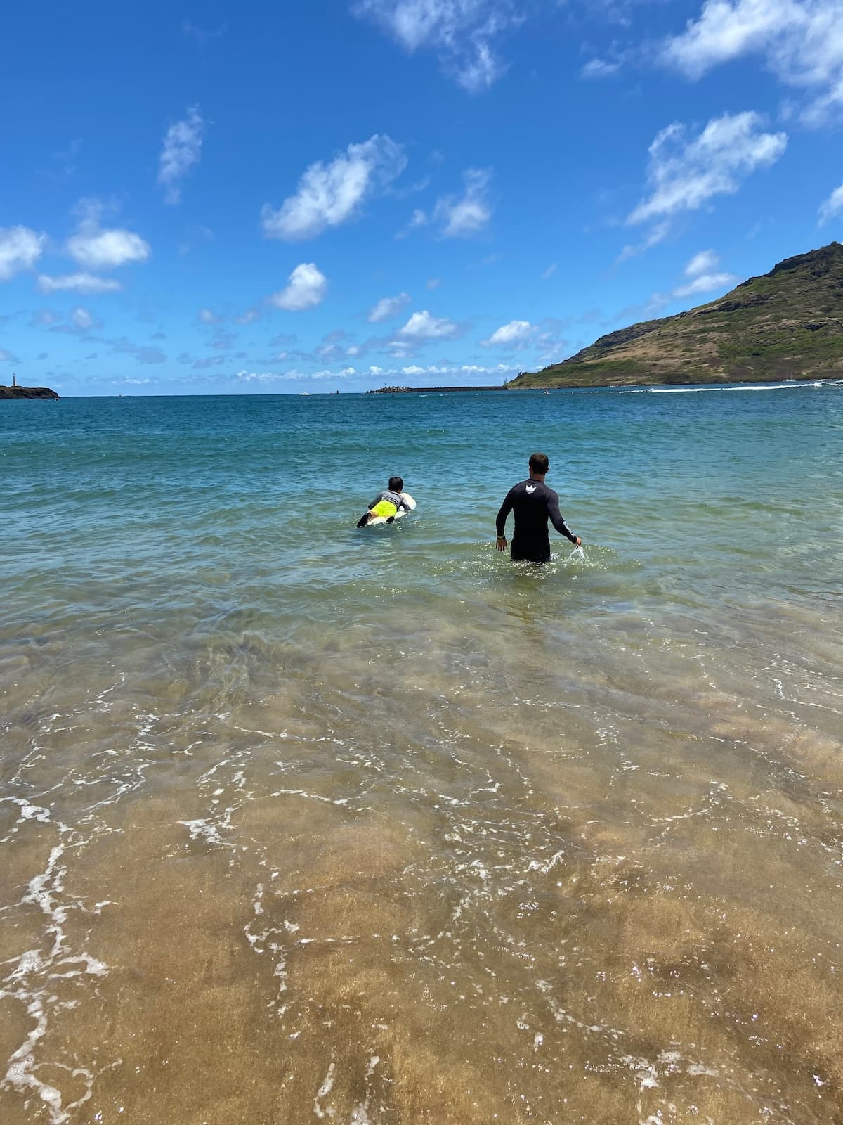 Home in Lihue · ★4.77 · 4 bedrooms · 5 beds · 4 baths - Photo 4