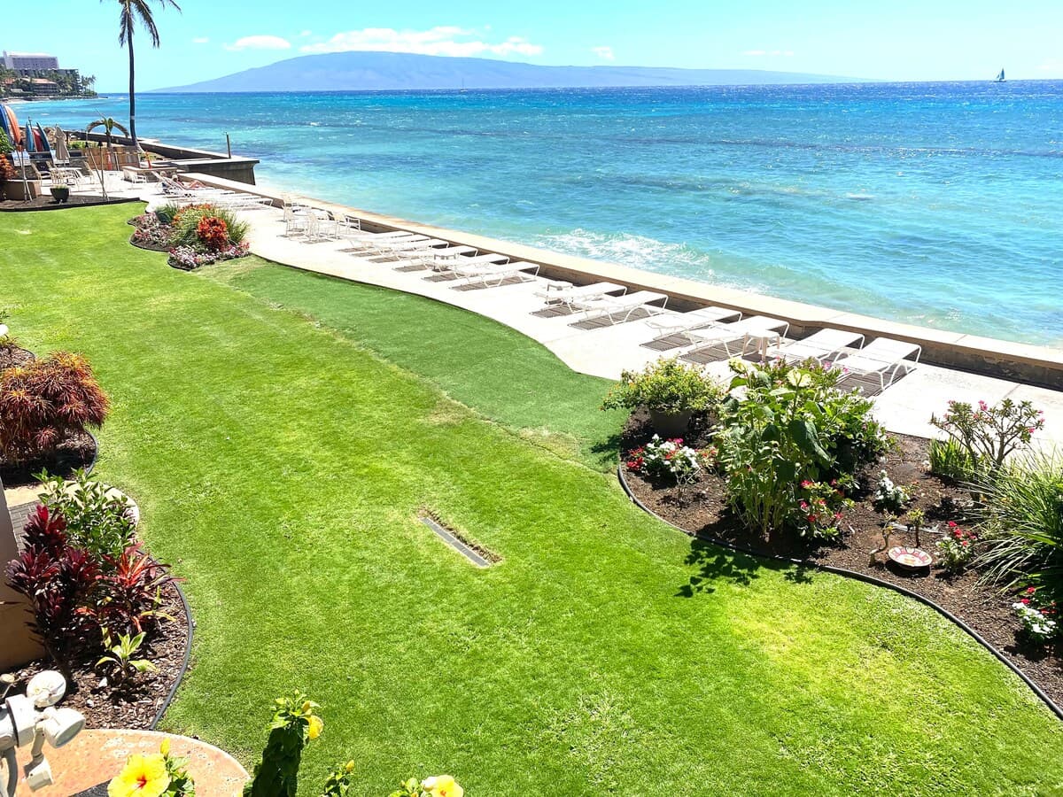 Condo in Lahaina · ★4.89 · 2 bedrooms · 5 beds · 2 private baths - Photo 5