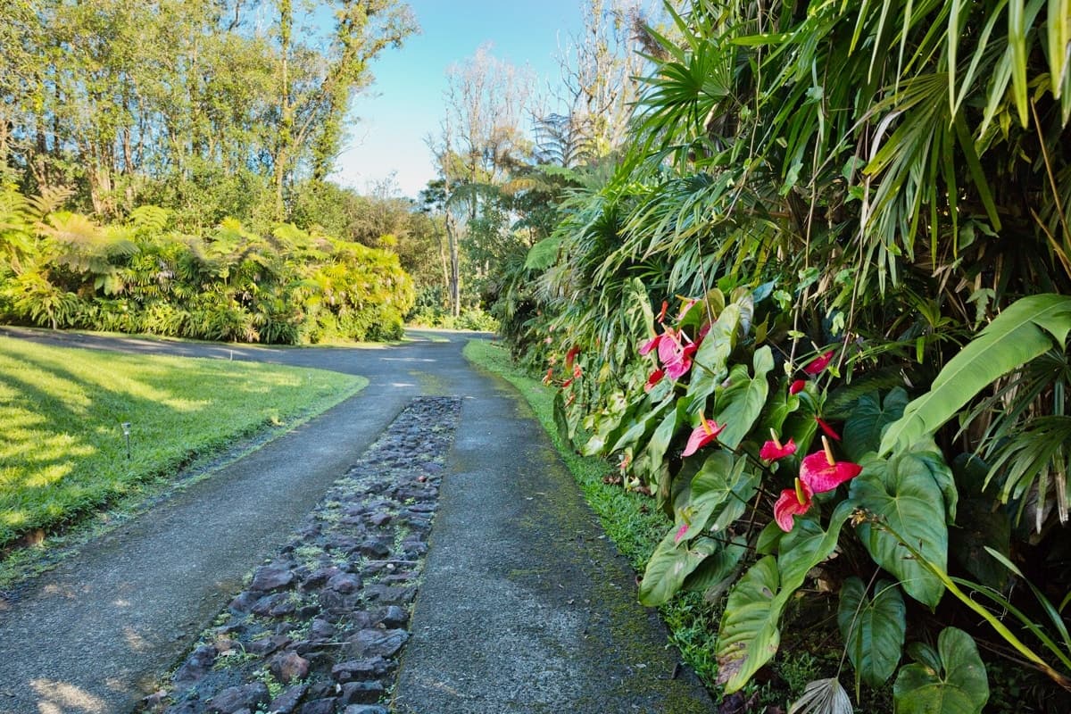 Home in Hilo · ★4.94 · 4 bedrooms · 7 beds · 2.5 private baths - Photo 4