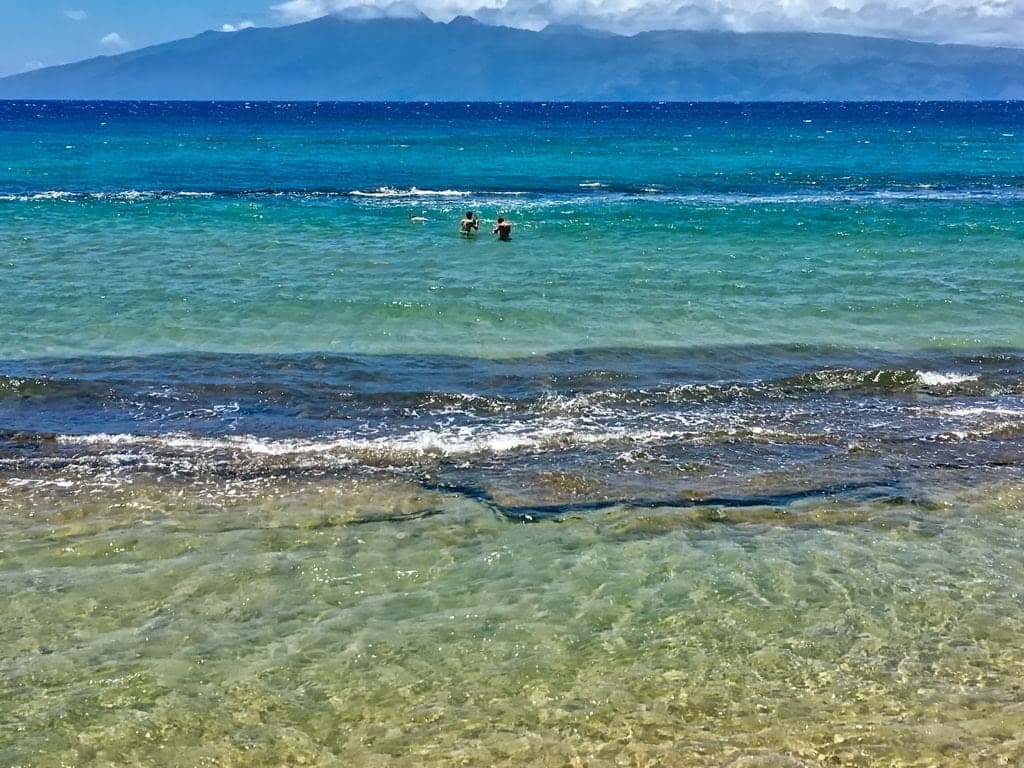 Condo in Lahaina · ★4.94 · 2 bedrooms · 4 beds · 1 bath - Photo 1