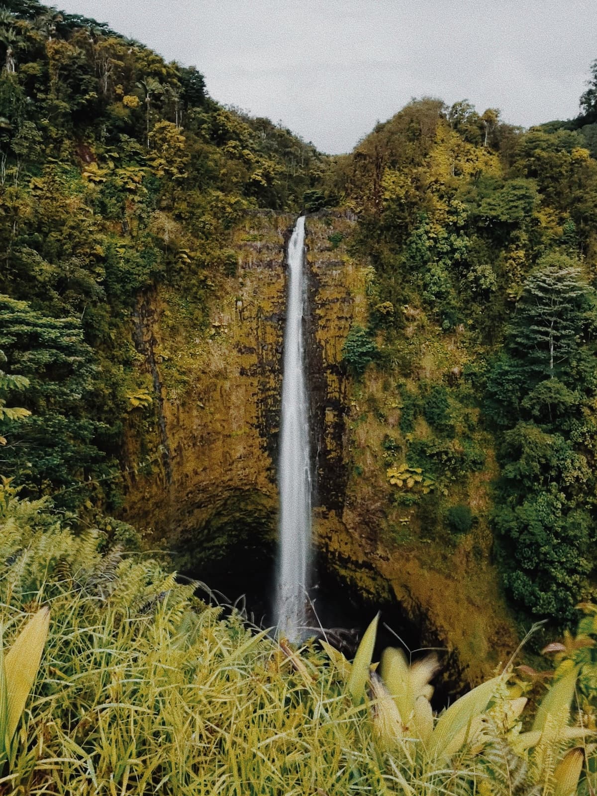 Inn at Akaka Falls - 15 Minutes to Hilo - Rm#2 - Photo 1