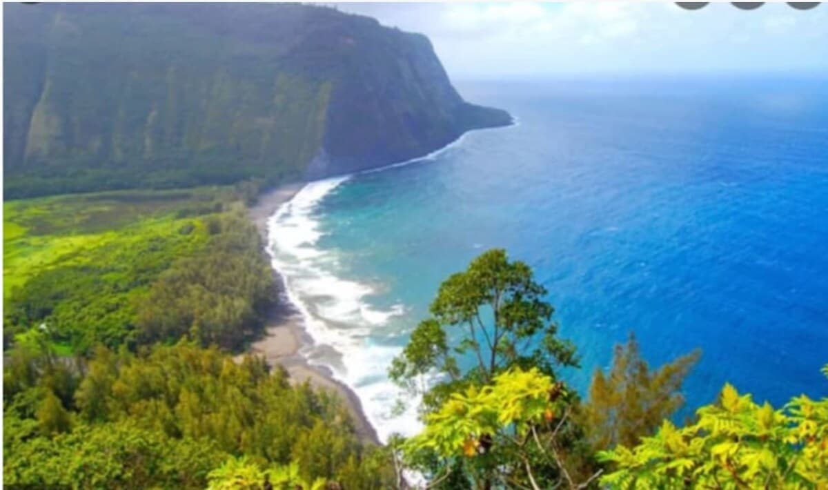 LUXURY PLACE NEAR OCEAN KEALAKEKUA BAY!!! - Photo 5