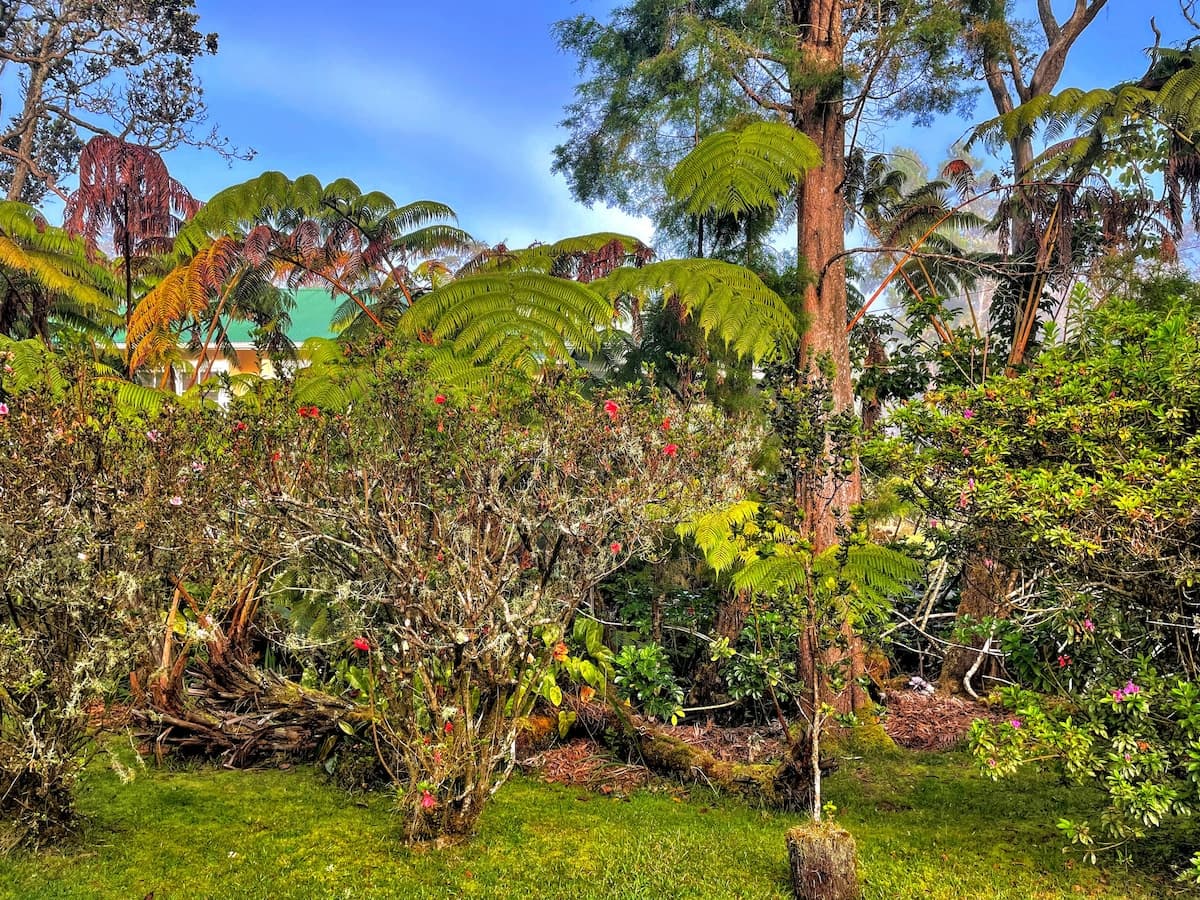The Maid's Quarters Cottage with Gardens and Gazebo Hot Tub - Photo 4