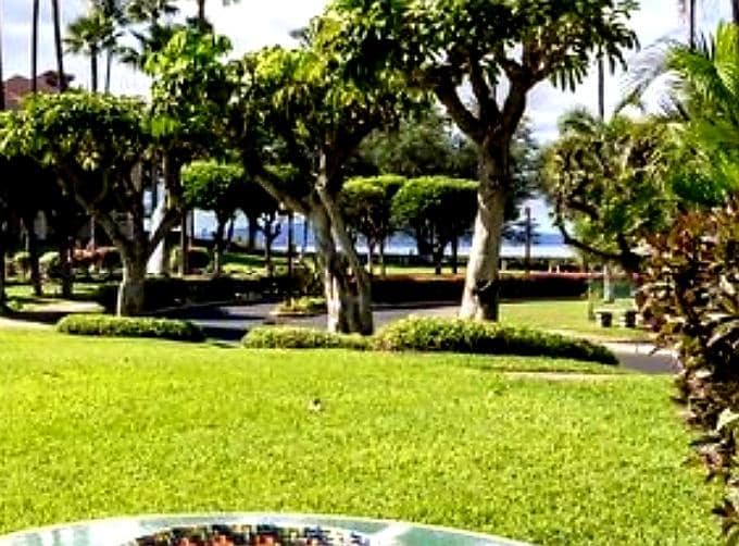 Condo in Kihei · ★4.97 · 1 bedroom · 2 beds · 2 shared baths - Photo 4