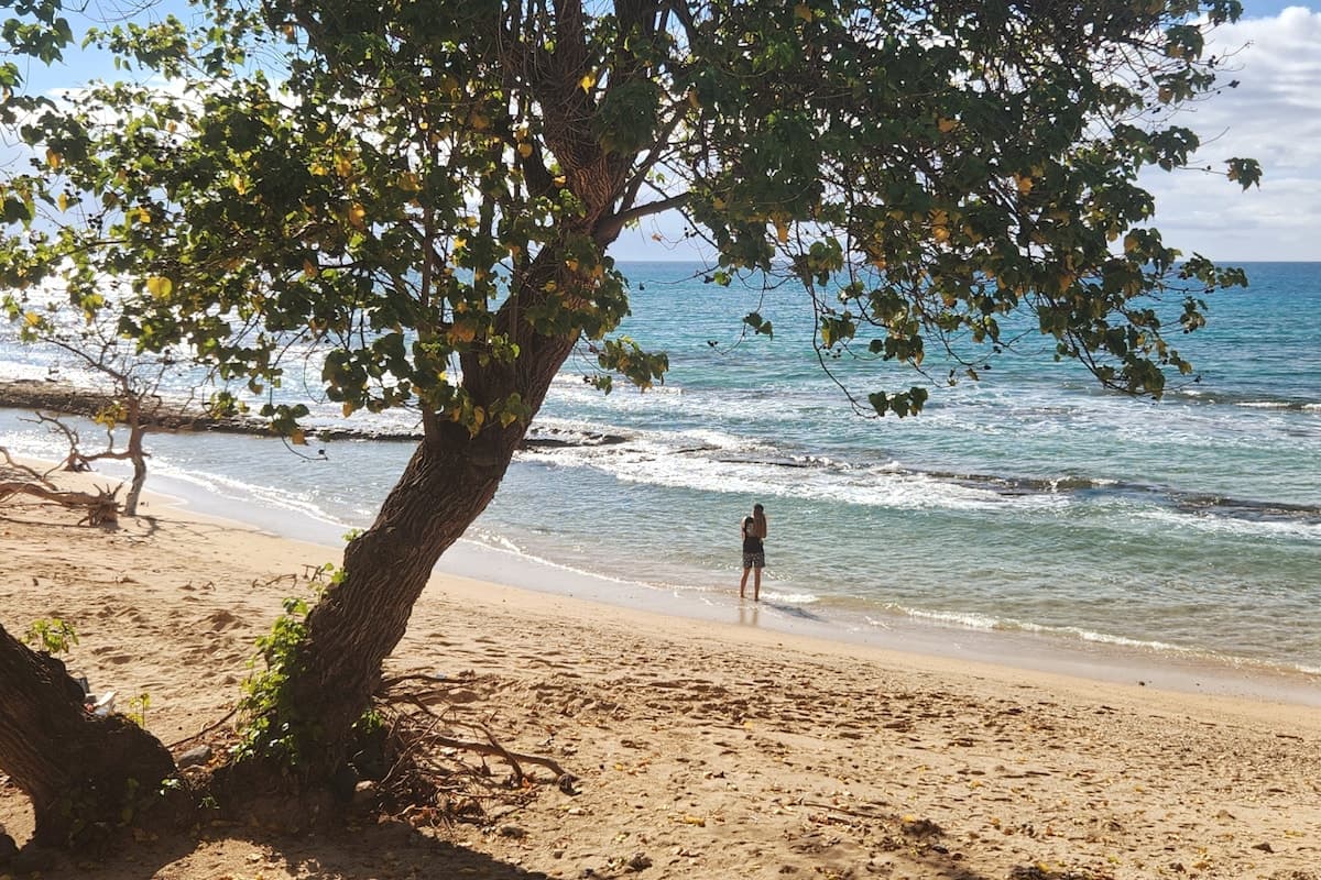 Condo in Lahaina · ★4.6 · 1 bedroom · 1 bed · 1 private bath - Photo 1