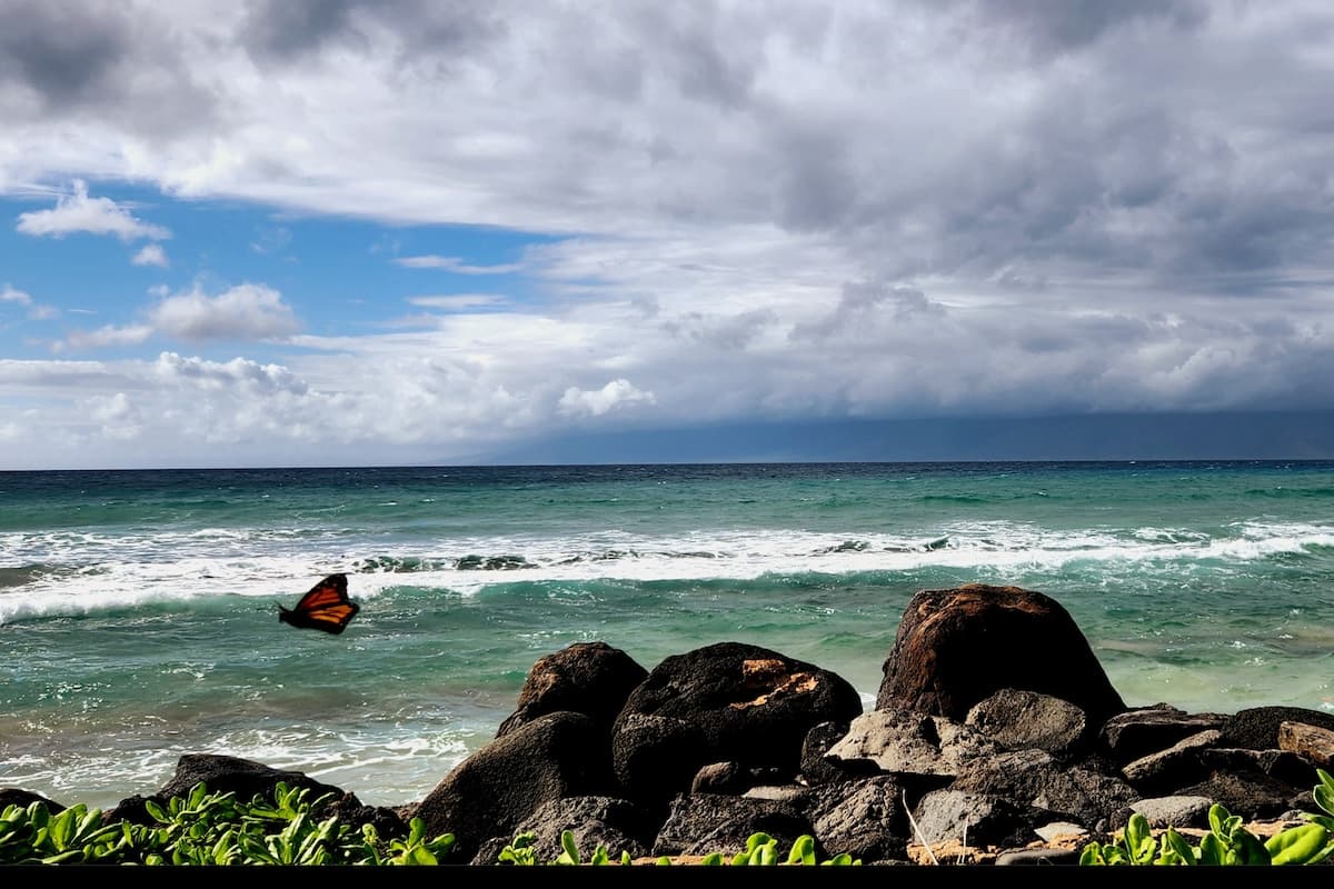 Condo in Lahaina · ★4.6 · 1 bedroom · 1 bed · 1 private bath - Photo 2