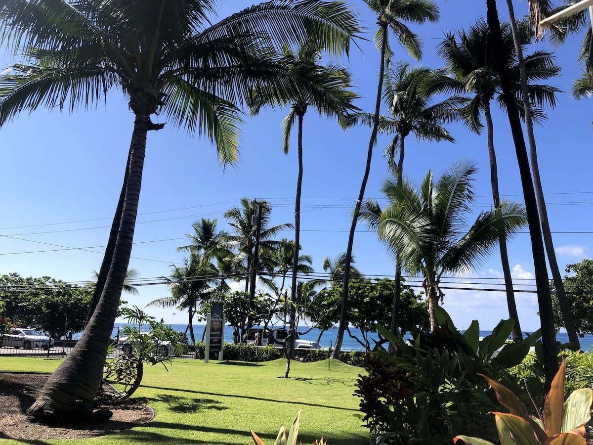 Condo in Kailua-Kona · ★4.73 · 1 bedroom · 3 beds · 1 shared bath - Photo 4