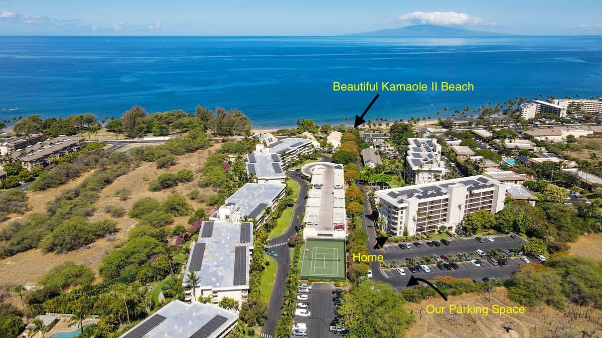 Condo in Kihei · ★4.93 · Studio · 1 bed · 1 bath - Photo 3
