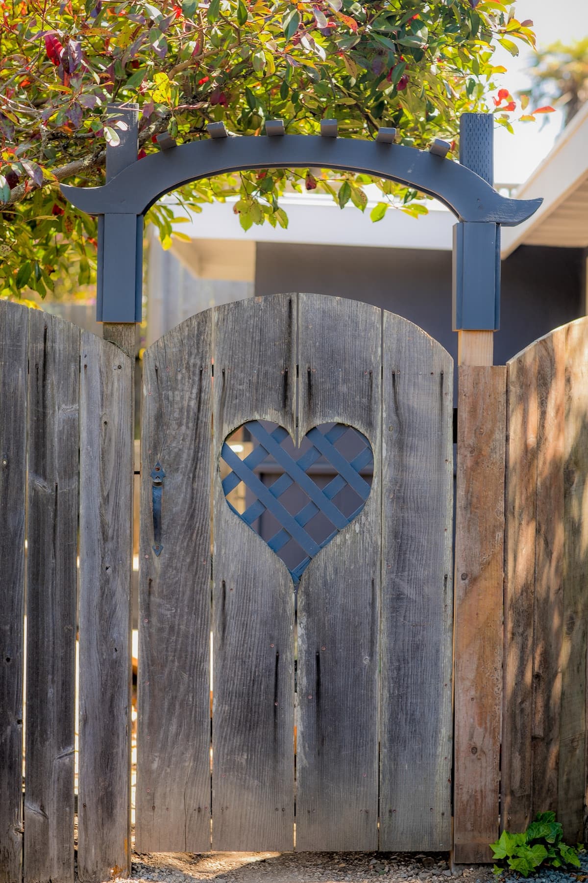 Guesthouse in Mill Valley · ★4.92 · 1 bedroom · 1 bed · 1 private bath - Photo 1
